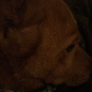 Meet your Posher, Kathleen